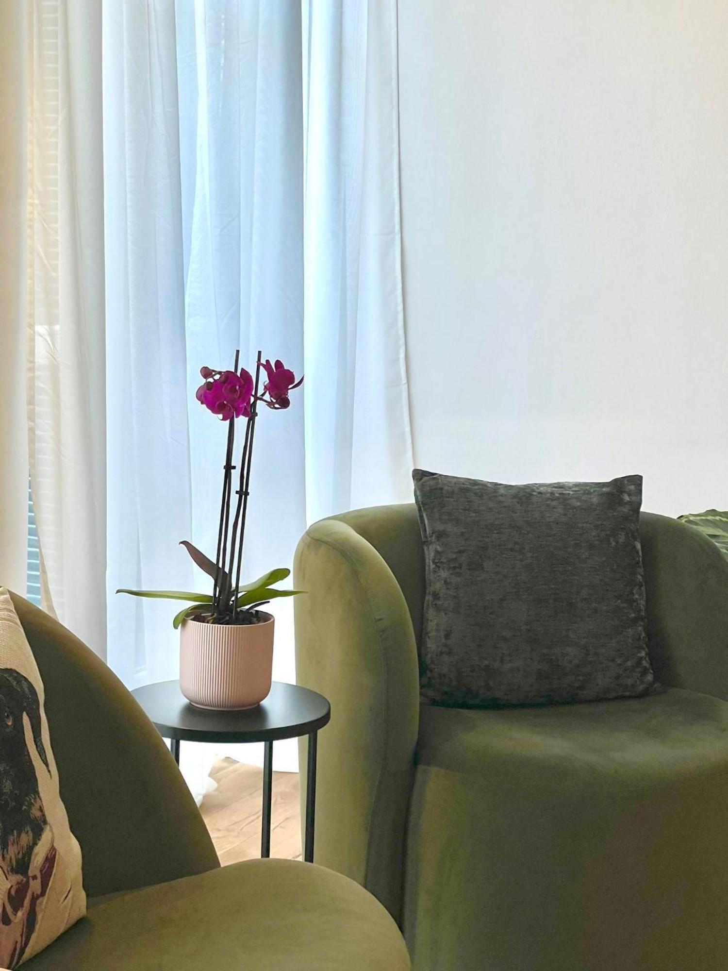 I Marmi New Royal Design Apartment 利沃诺 外观 照片