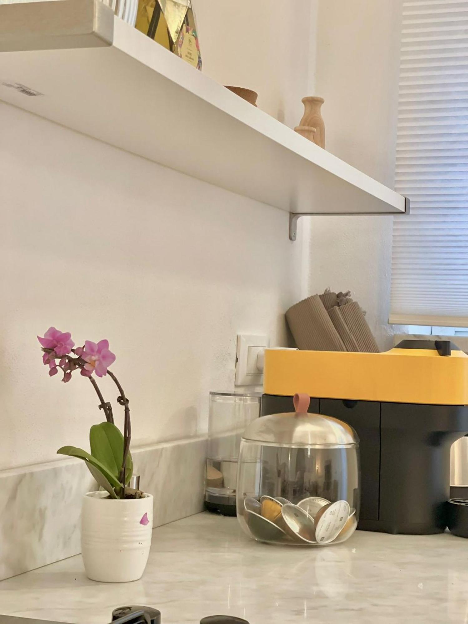 I Marmi New Royal Design Apartment 利沃诺 外观 照片